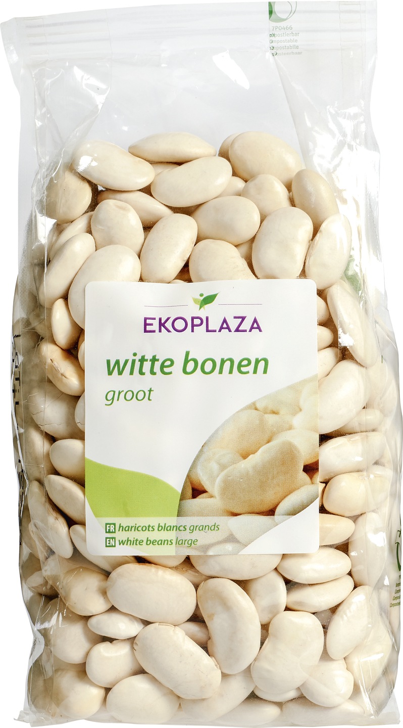 Grote witte