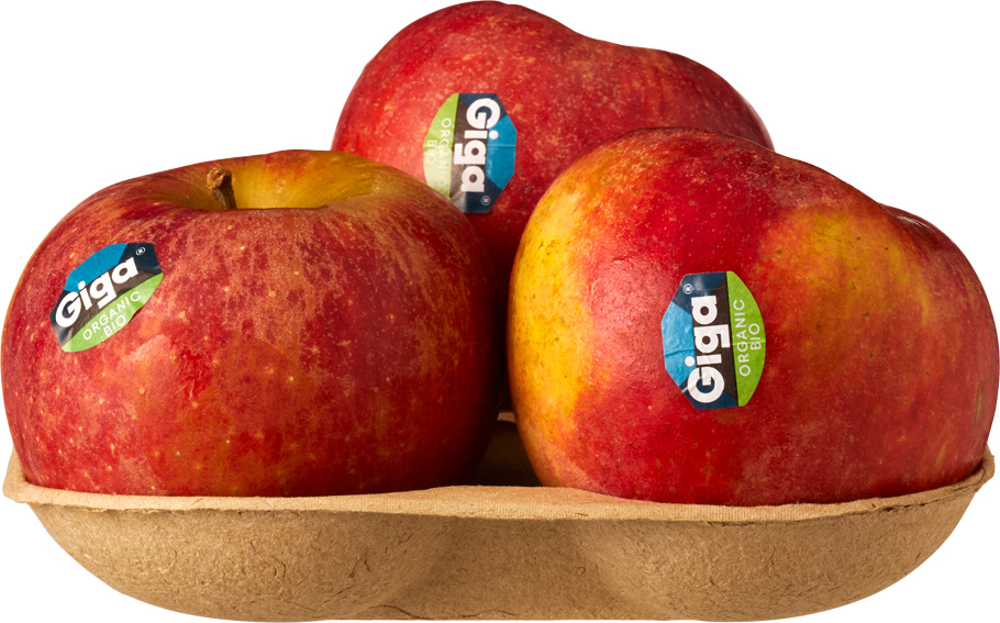 Giga appels
