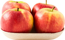 Elstar appels
