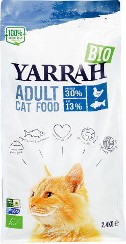 Kattenbrokken adult