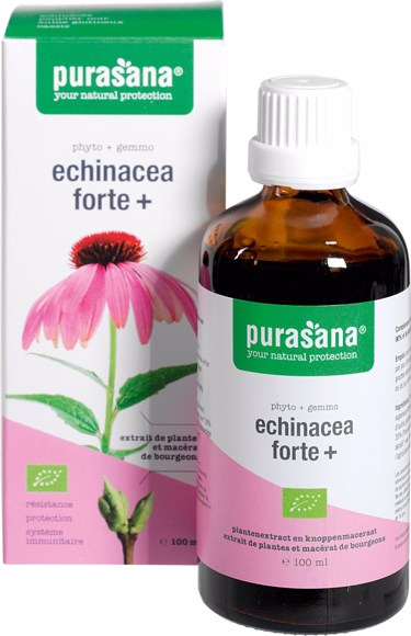 Echinacea forte+ 100ml
