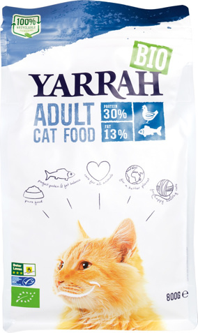Kattenbrokken adult