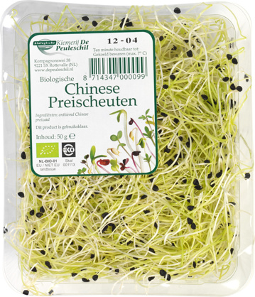 Chinese preischeuten