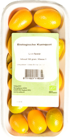 Kumquat