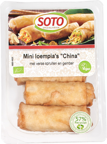 Mini loempia's China