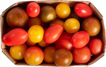 Wild Wonders tomaatjes