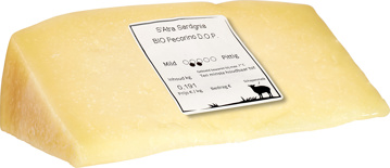 Pecorino