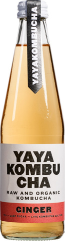 Kombucha ginger