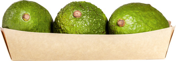 Baby avocado