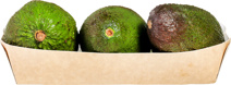 Baby avocado