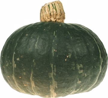 Groene pompoen