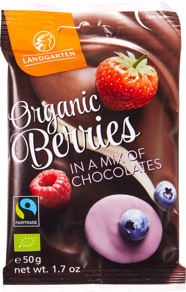 Fruitmix in chocolade