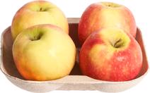 Santana appels