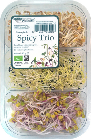 Spicy kiementrio