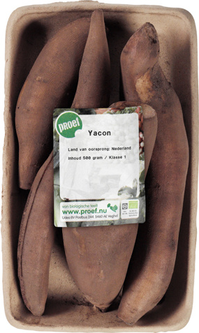 Yacon