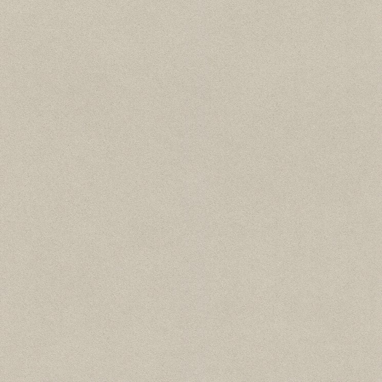 Rasch Crispy Paper Vliesbehang Uni Beige 527018