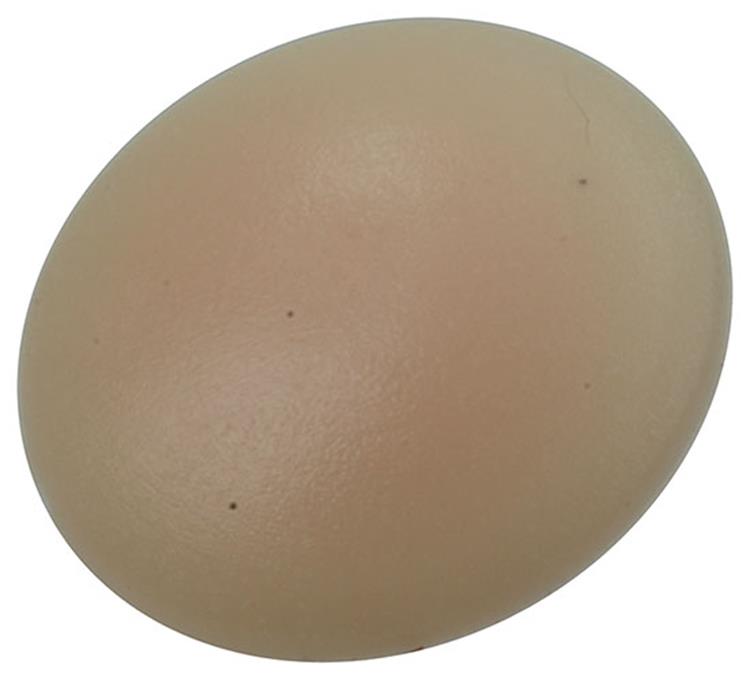 Mack Afdekkapje Beige Voor PZ2 Schroeven 40 stuks