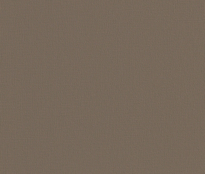 Rasch Trendspots Vliesbehang Uni Bruin 721942