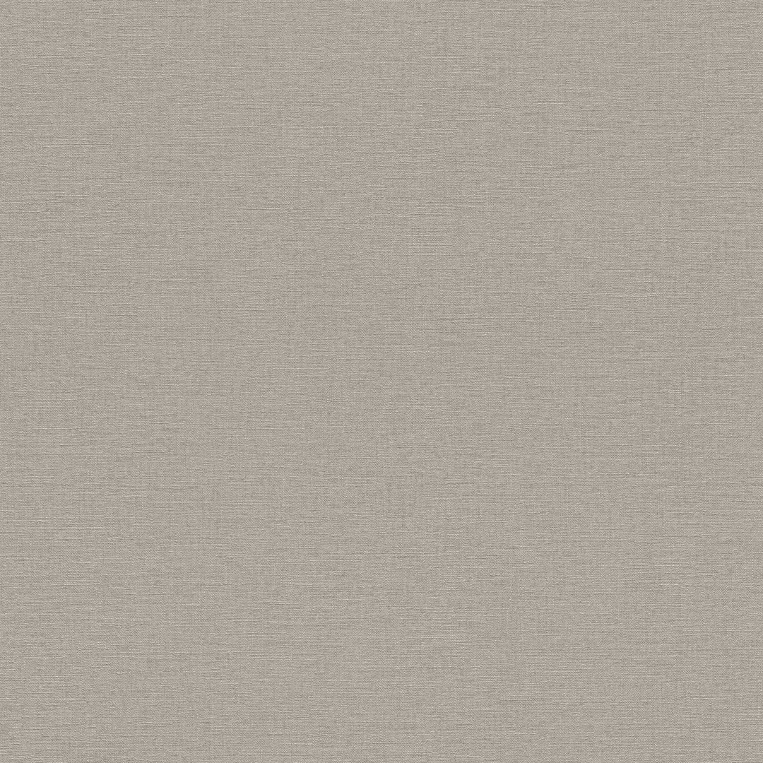 Rasch Salsa Vliesbehang Uni Grijs 452037