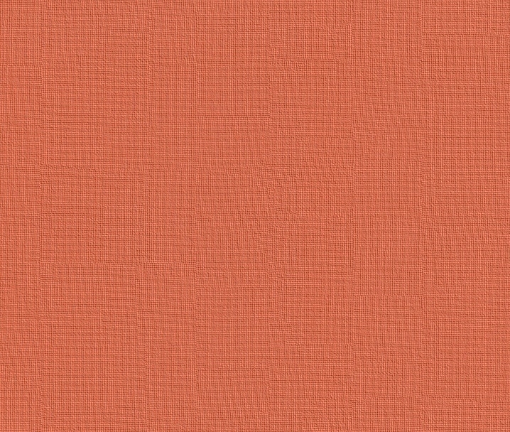 Rasch Trendspots Vliesbehang Uni Rood 721980