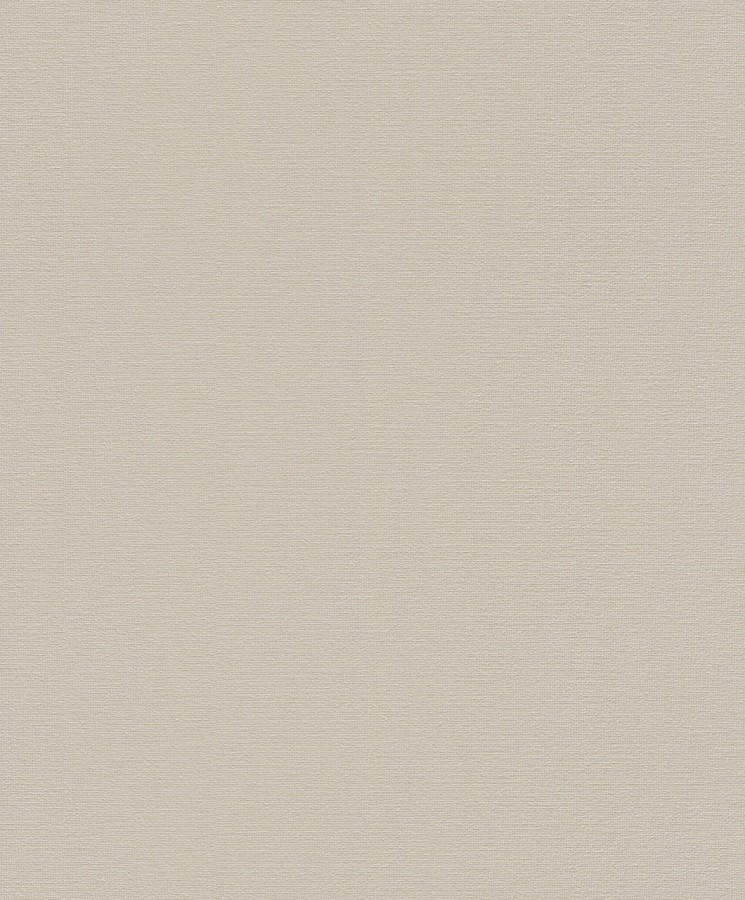 Rasch Home Vision Vliesbehang Uni Taupe 741308