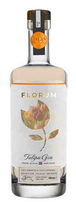 Florum Tulipa