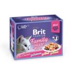 BRIT PREMIUM FILLETS IN JELLY FAMILY PLATE 12X85 GR