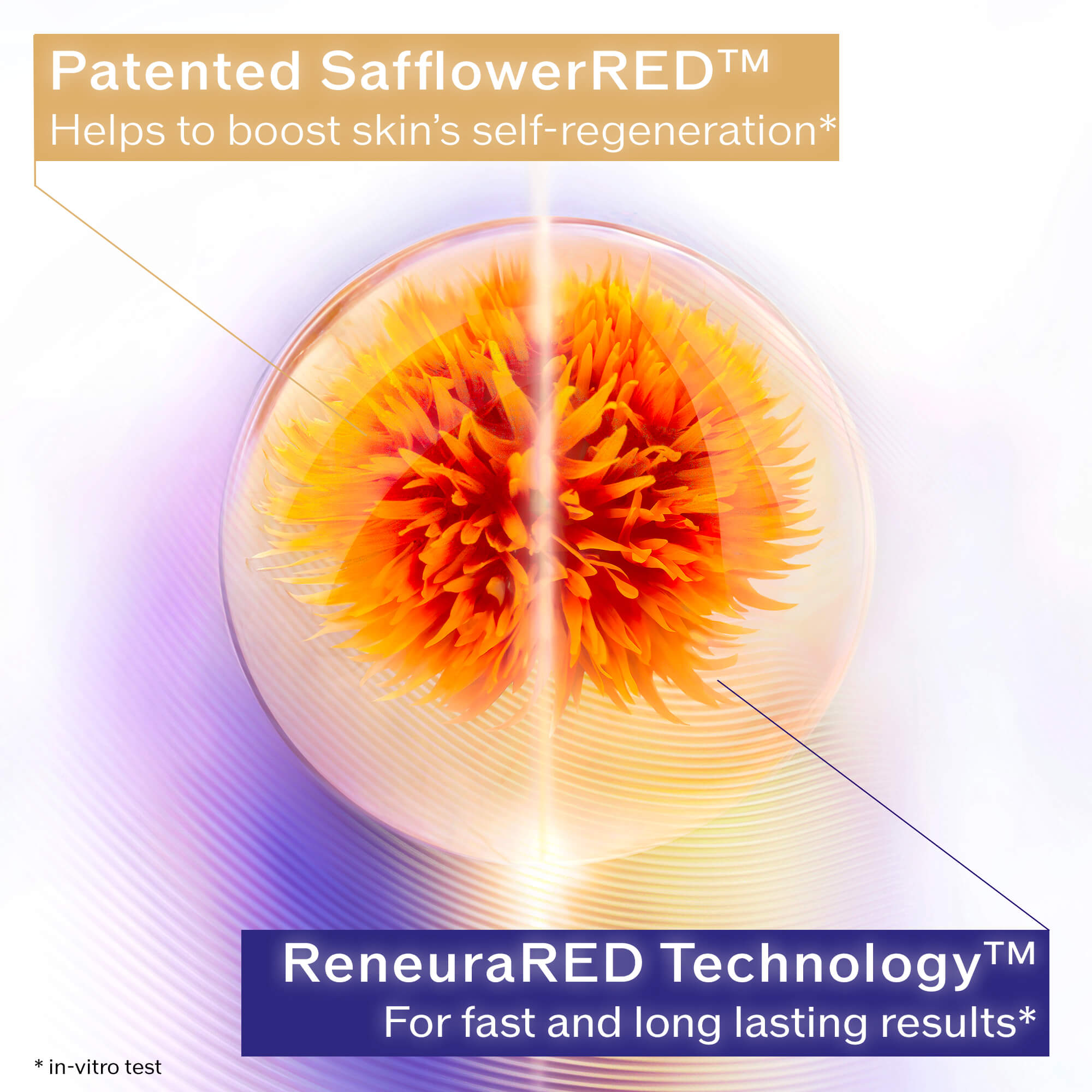 shiseido-vital-perfection-overnight-firming-treatment-50ml