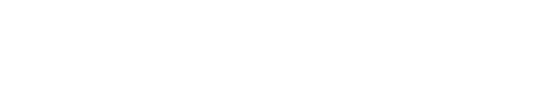 SHISEIDO